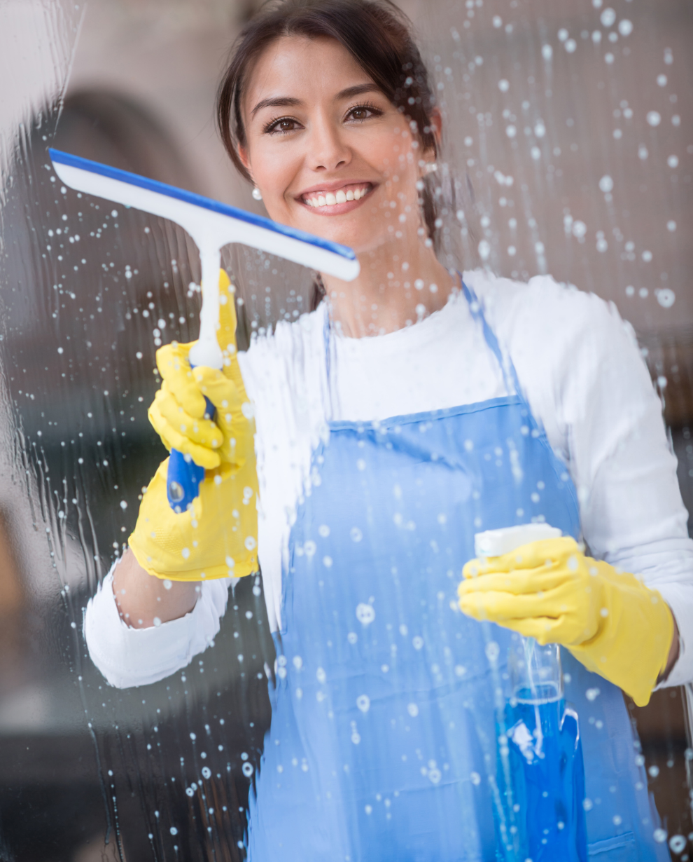 https://faxinariadapitty.com.br/wp-content/uploads/2026/07/Update-Page-Style-Color-Scheme-990-x-1230-px-1.png