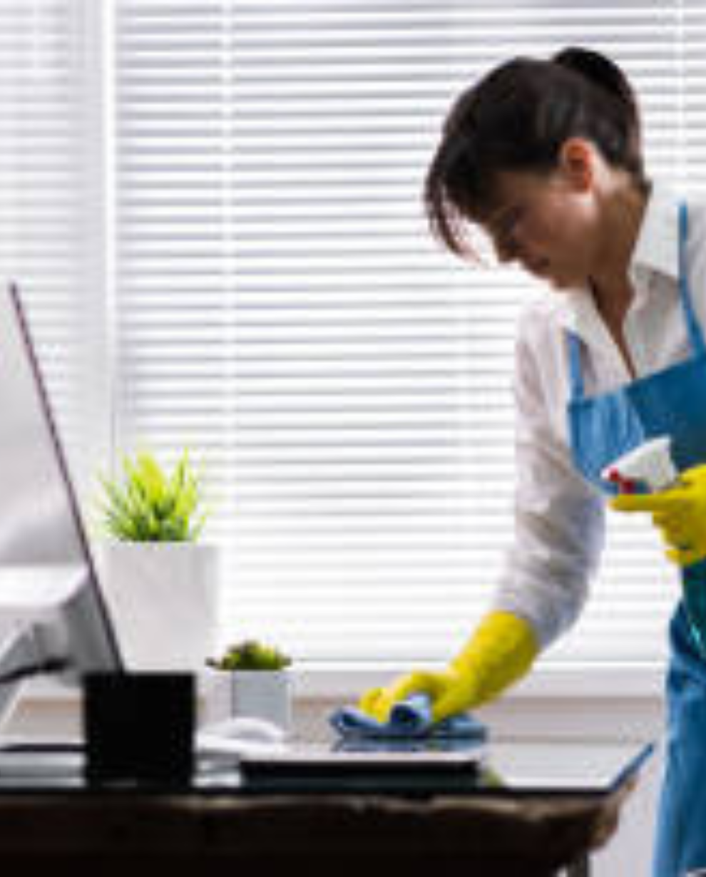 https://faxinariadapitty.com.br/wp-content/uploads/2026/07/Update-Page-Style-Color-Scheme-990-x-1230-px.png